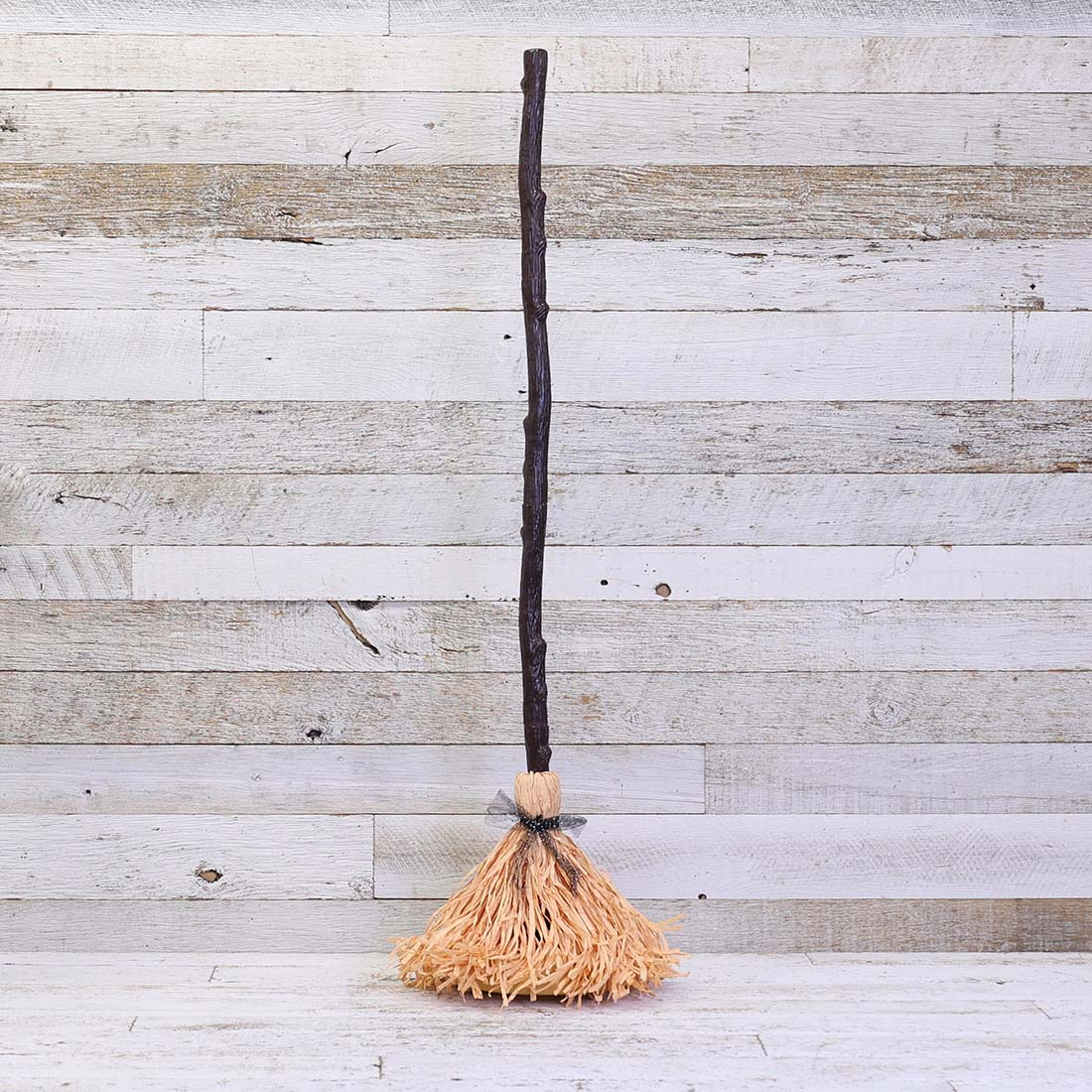 Haunted Moving Broom